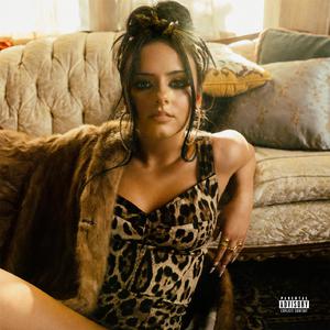 图像个性小马导航
