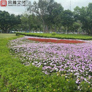 图像个性小马导航
